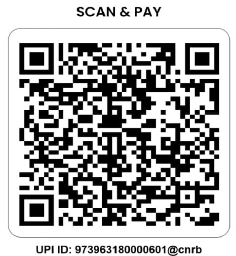 UPI QR Code